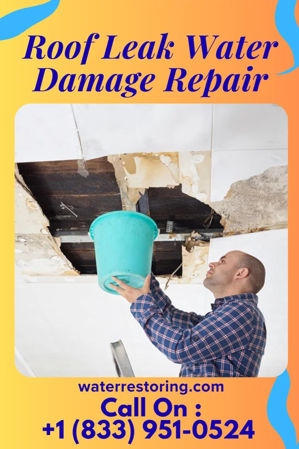 Roof Leak Water Damage Repair in Vader, WA